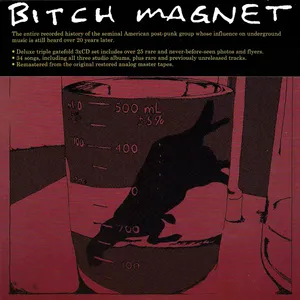 Bitch magnet